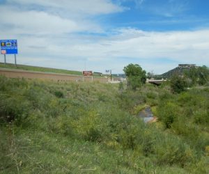 View of mapped occupied Preble’s meadow jumping mouse (Zapus hudsonius preblei) habitat south of the I-25 and Plum Creek Parkway interchange (Exit 181), facing northwest.